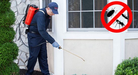 Mudanya Kene İlaçlama böcek ilaçlama ve haşere kontrolü — ilaclama-tr.com